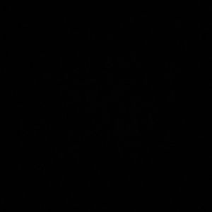 Meet your Posher, Denisse